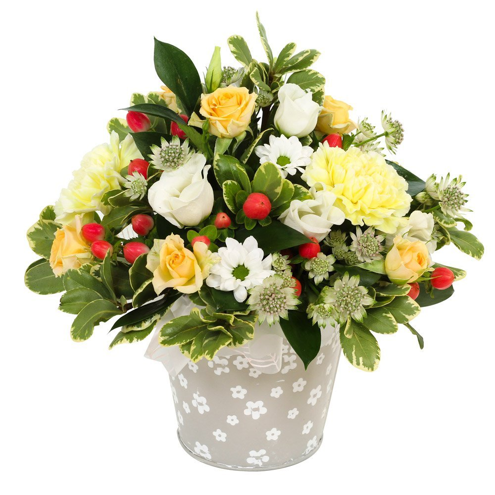 Citrus Berry Product Image