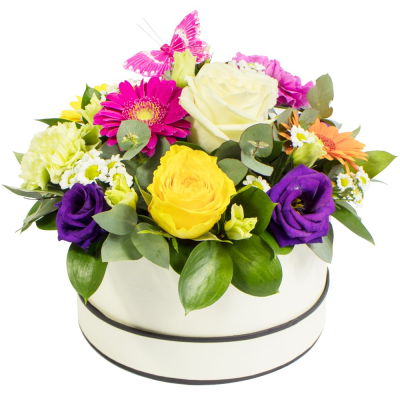 Violet Jewel - A striking hat box arrangement in rich purple, blue and vibrant pink tones, beautifully finished with lush greenery.