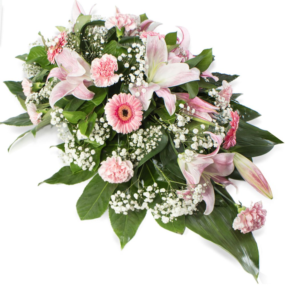 Pink Single Ended Spray Product Image